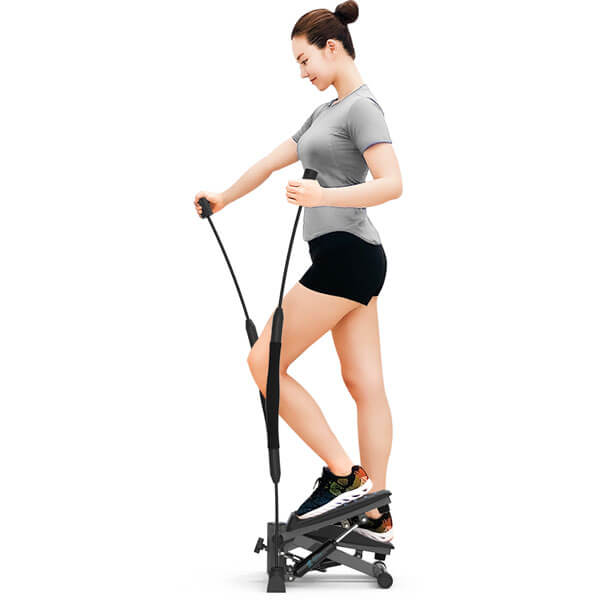 Egojin Stepper 2020ST Flexibar